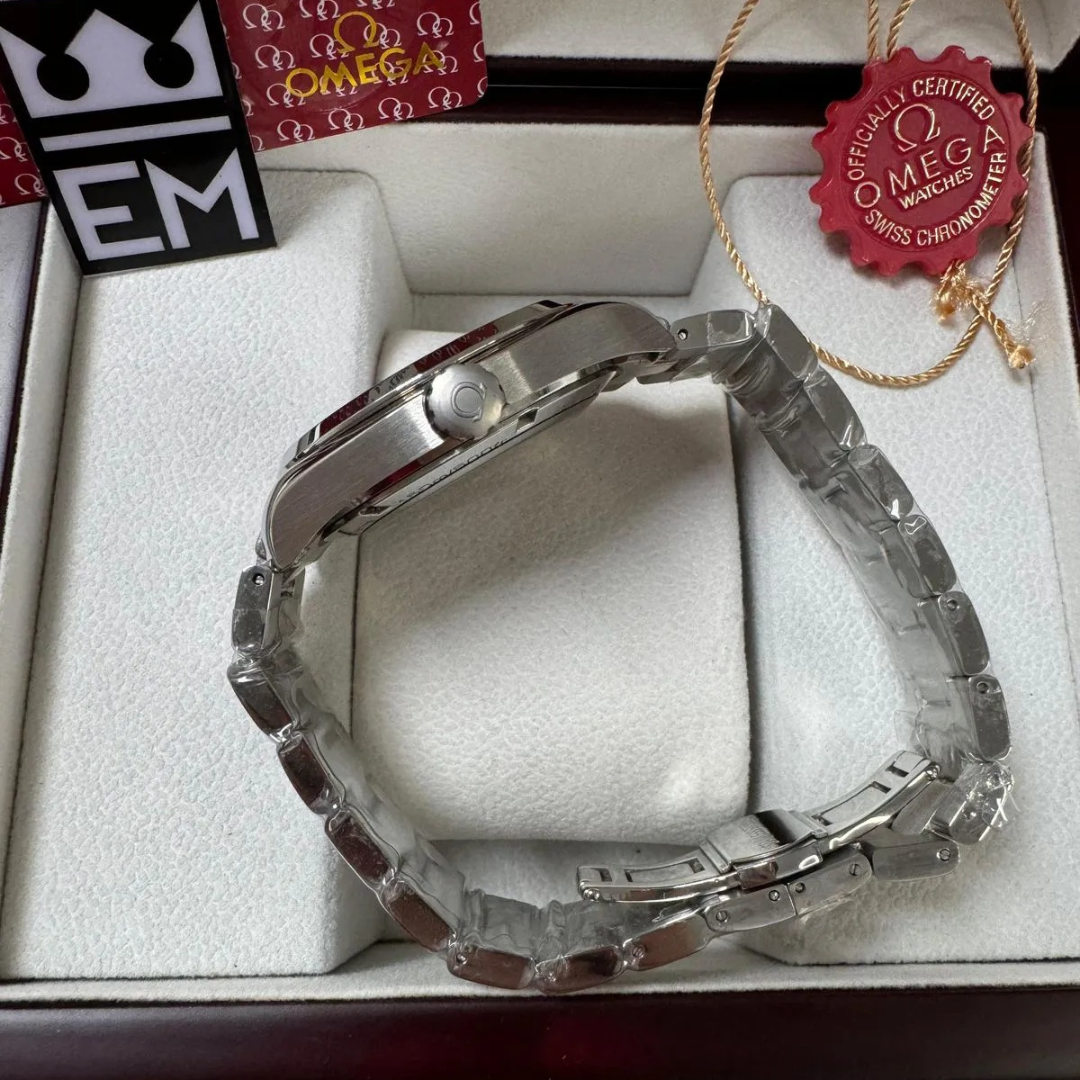 Seamaster Aqua Terra Silver